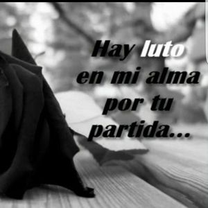 Meet your Posher, Mayra